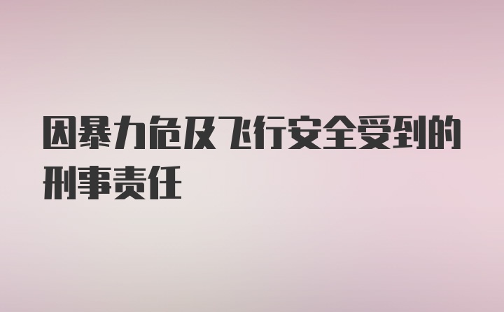 因暴力危及飞行安全受到的刑事责任