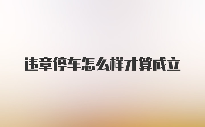 违章停车怎么样才算成立