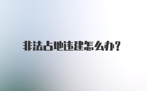 非法占地违建怎么办?