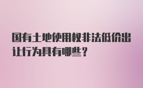 国有土地使用权非法低价出让行为具有哪些？