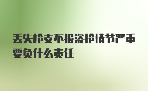 丢失枪支不报盗抢情节严重要负什么责任