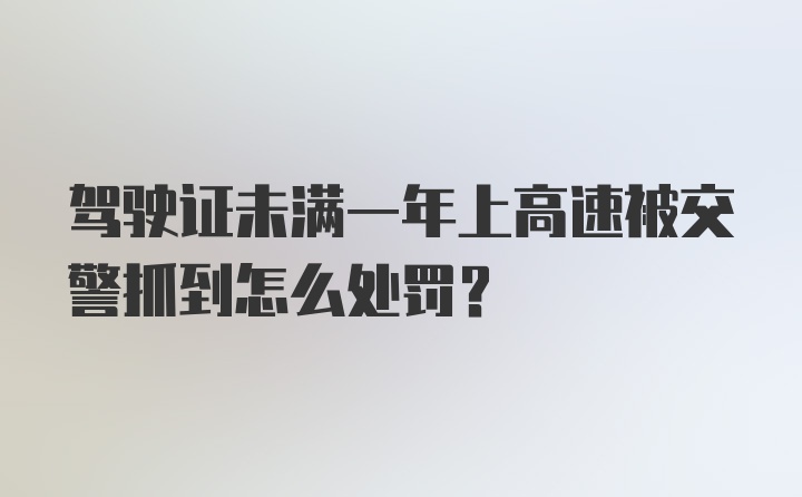 驾驶证未满一年上高速被交警抓到怎么处罚？