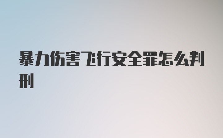 暴力伤害飞行安全罪怎么判刑