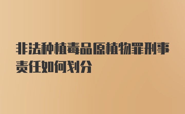 非法种植毒品原植物罪刑事责任如何划分