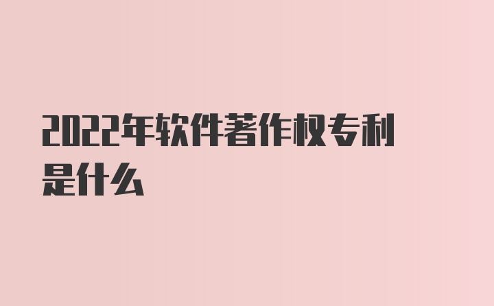 2022年软件著作权专利是什么