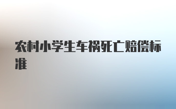 农村小学生车祸死亡赔偿标准