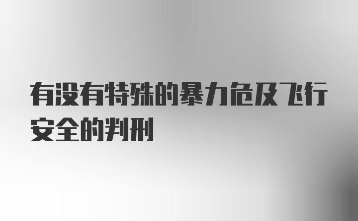 有没有特殊的暴力危及飞行安全的判刑