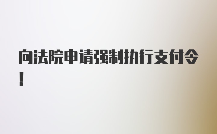 向法院申请强制执行支付令！