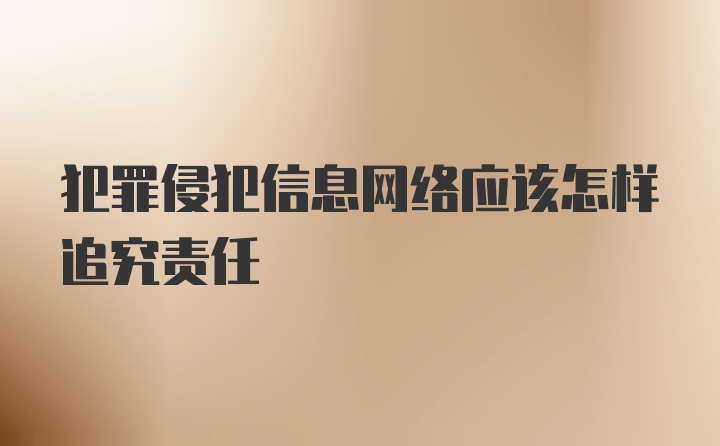 犯罪侵犯信息网络应该怎样追究责任