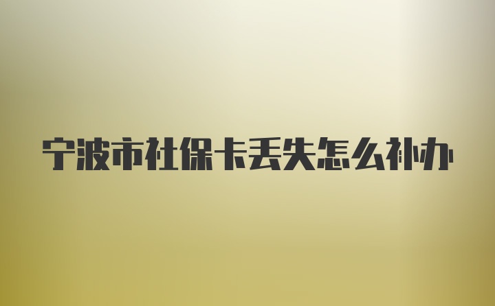 宁波市社保卡丢失怎么补办