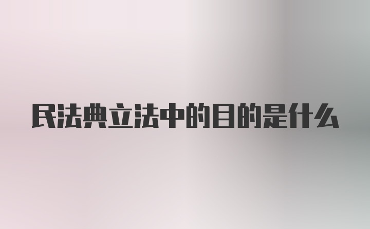 民法典立法中的目的是什么