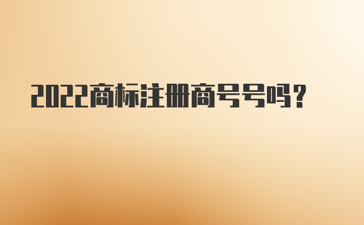 2022商标注册商号号吗？