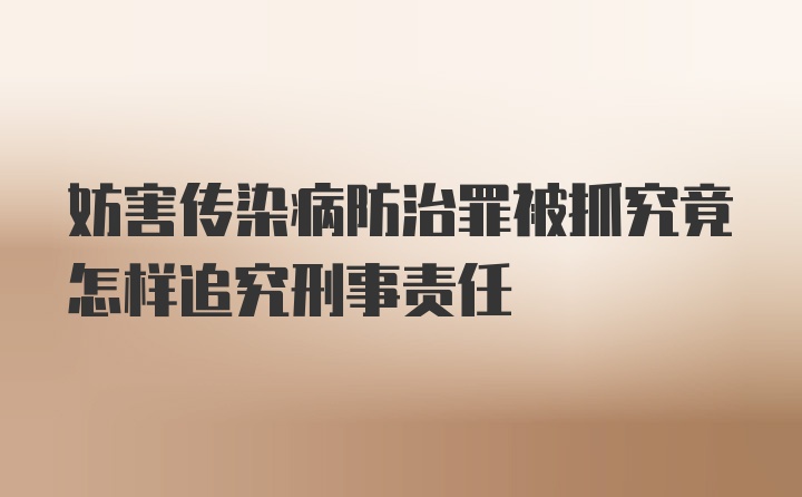 妨害传染病防治罪被抓究竟怎样追究刑事责任