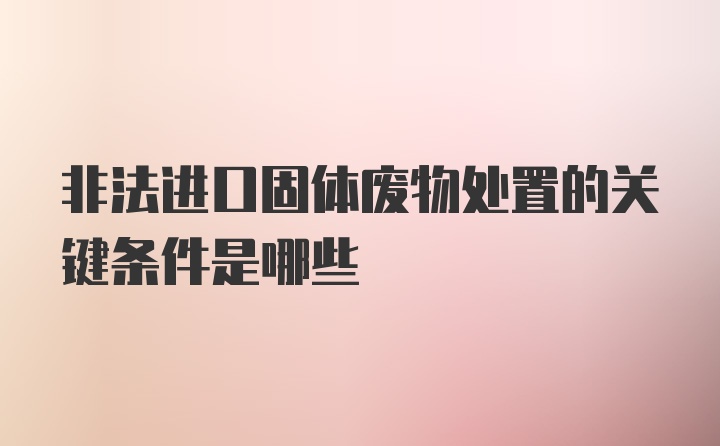 非法进口固体废物处置的关键条件是哪些