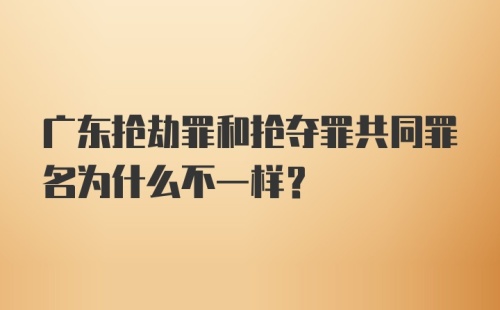 广东抢劫罪和抢夺罪共同罪名为什么不一样？