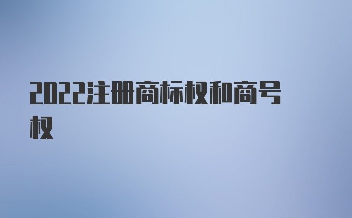 2022注册商标权和商号权