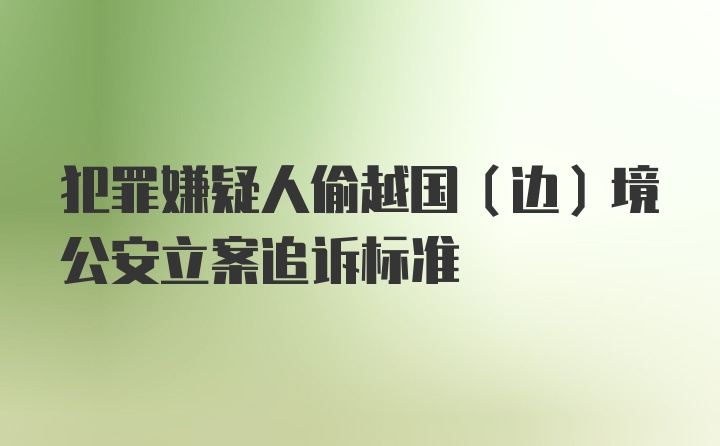 犯罪嫌疑人偷越国（边）境公安立案追诉标准