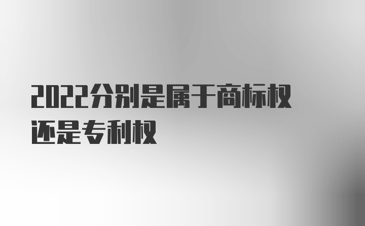 2022分别是属于商标权还是专利权