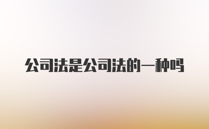 公司法是公司法的一种吗