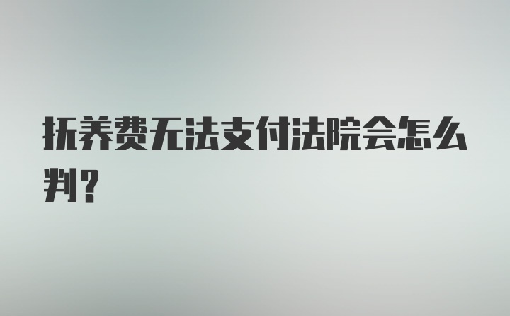 抚养费无法支付法院会怎么判？