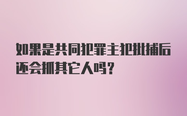 如果是共同犯罪主犯批捕后还会抓其它人吗?