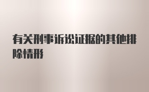 有关刑事诉讼证据的其他排除情形