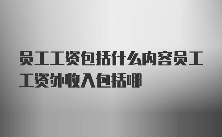 员工工资包括什么内容员工工资外收入包括哪