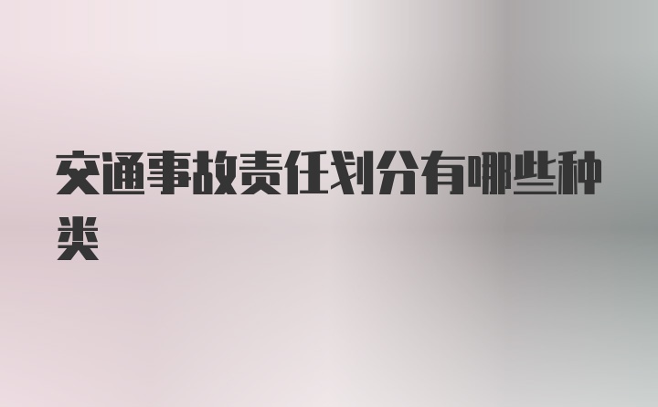 交通事故责任划分有哪些种类