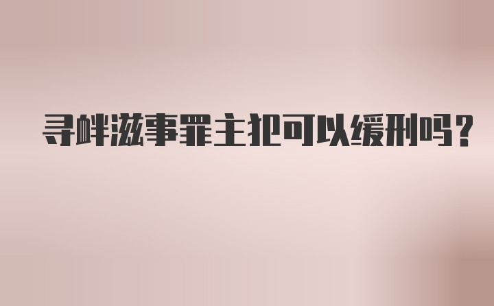 寻衅滋事罪主犯可以缓刑吗？