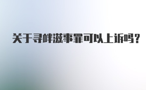 关于寻衅滋事罪可以上诉吗？