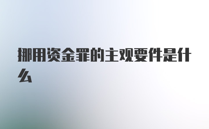 挪用资金罪的主观要件是什么