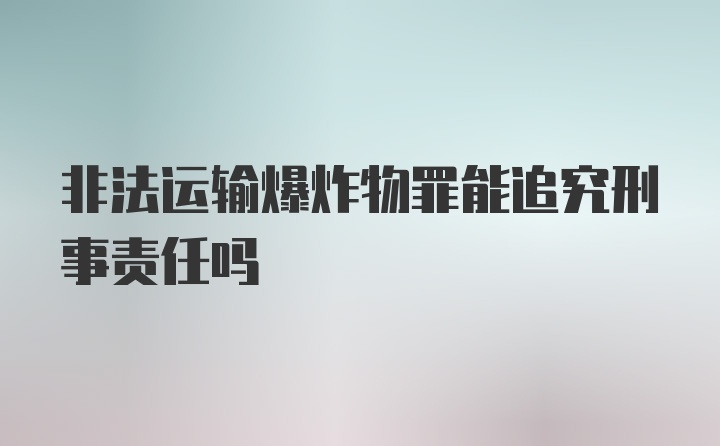 非法运输爆炸物罪能追究刑事责任吗