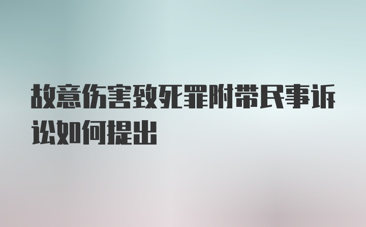 故意伤害致死罪附带民事诉讼如何提出