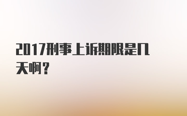 2017刑事上诉期限是几天啊?