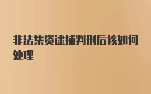 非法集资逮捕判刑后该如何处理