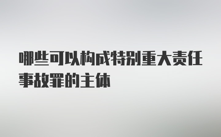 哪些可以构成特别重大责任事故罪的主体