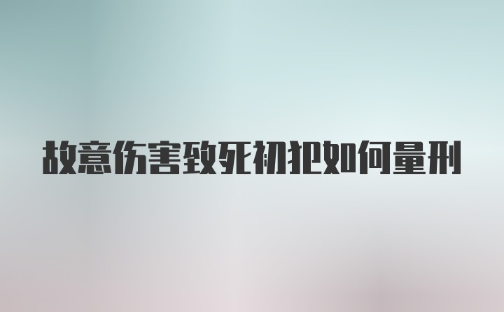 故意伤害致死初犯如何量刑