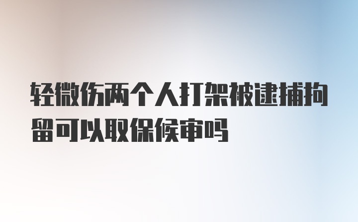 轻微伤两个人打架被逮捕拘留可以取保候审吗