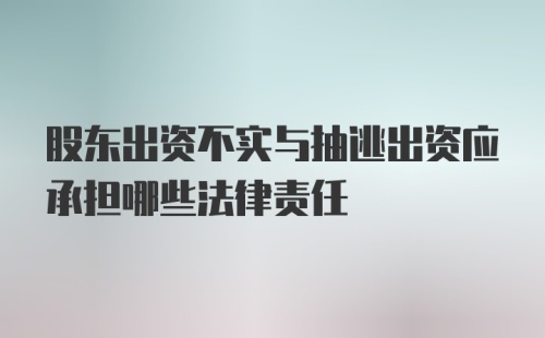 股东出资不实与抽逃出资应承担哪些法律责任