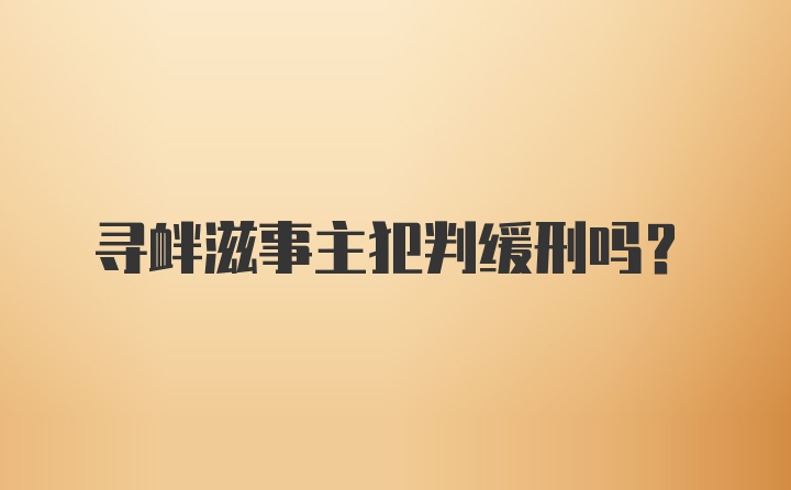 寻衅滋事主犯判缓刑吗?