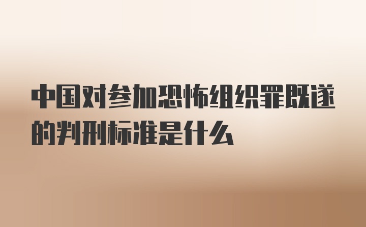 中国对参加恐怖组织罪既遂的判刑标准是什么