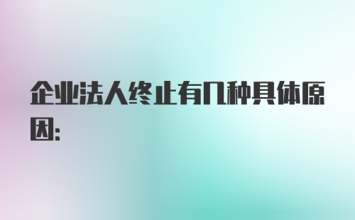 企业法人终止有几种具体原因: