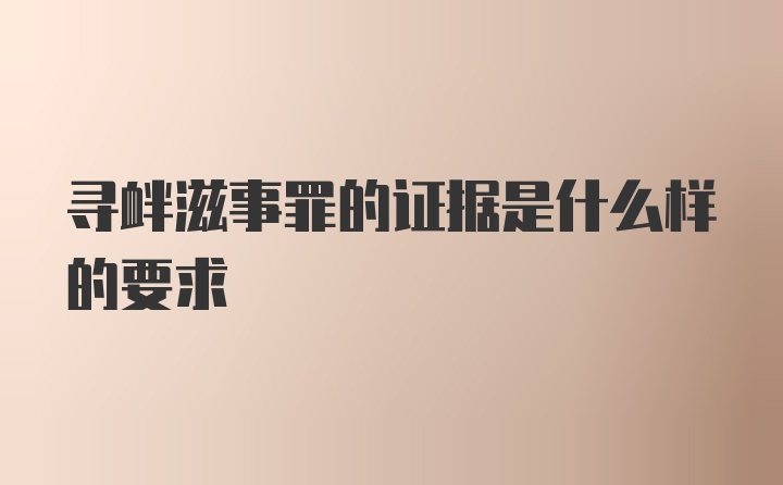 寻衅滋事罪的证据是什么样的要求