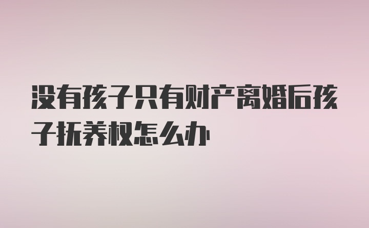 没有孩子只有财产离婚后孩子抚养权怎么办