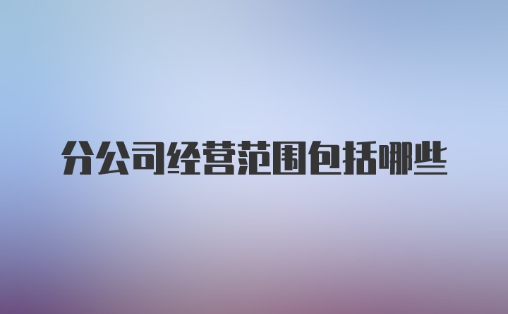 分公司经营范围包括哪些