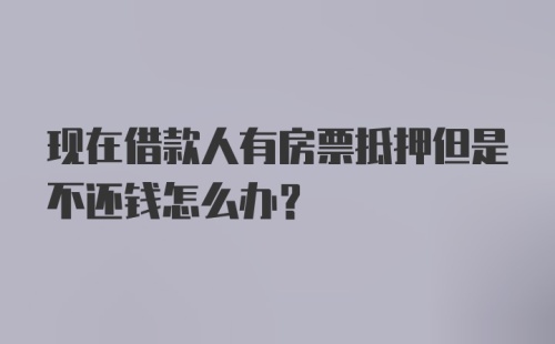 现在借款人有房票抵押但是不还钱怎么办？