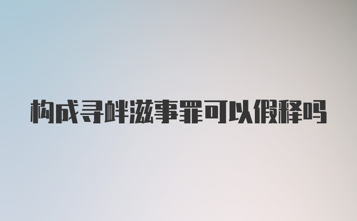 构成寻衅滋事罪可以假释吗