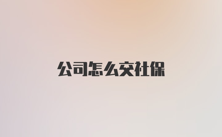 公司怎么交社保