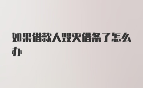 如果借款人毁灭借条了怎么办