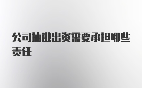 公司抽逃出资需要承担哪些责任